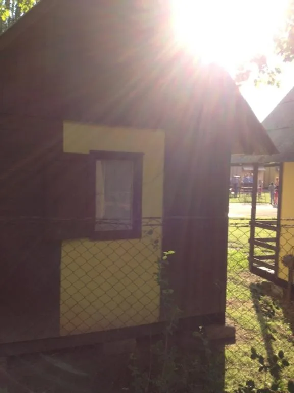 V pozadí za chatkou lze vidět zasahující policisty