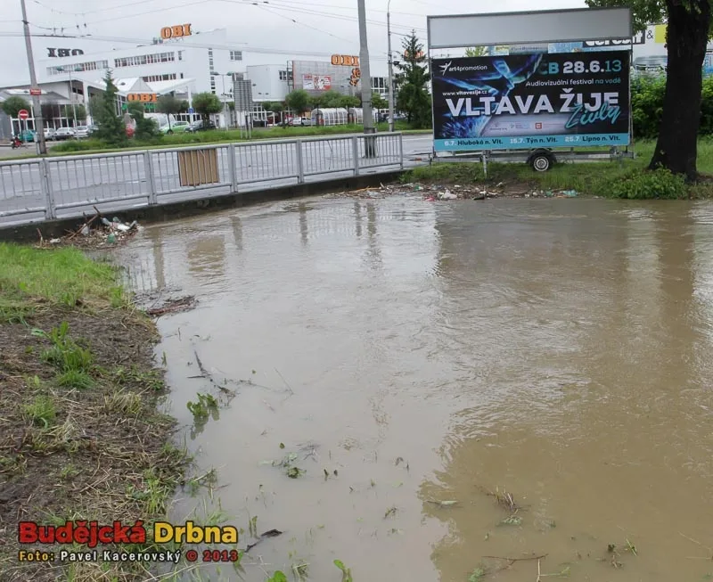 Vltava žije...