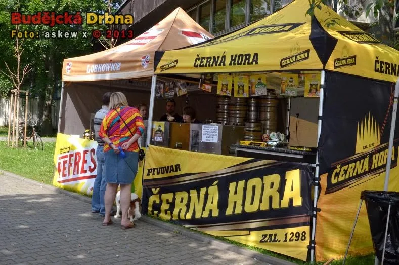 Slavnosti piva 2013