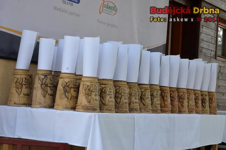 Slavnosti piva 2013