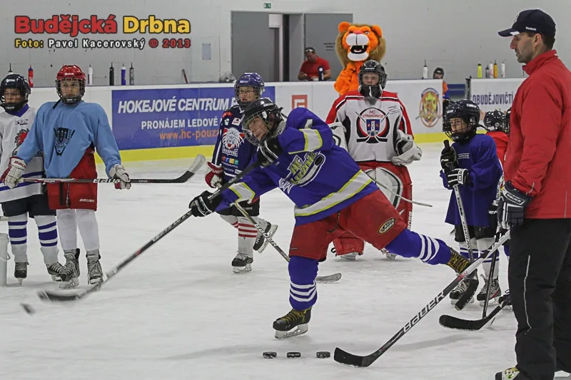 Přesnost střelby