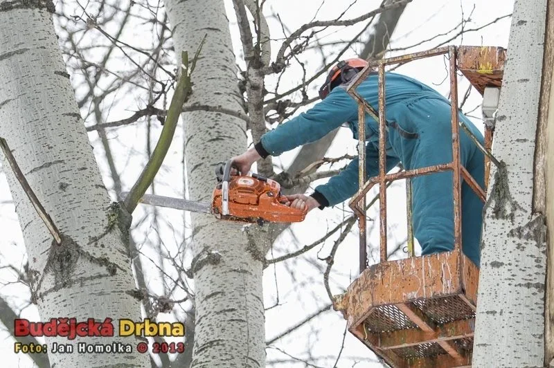 ilustrační foto