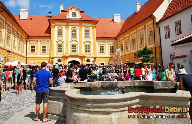 Borůvkobraní počasí přálo