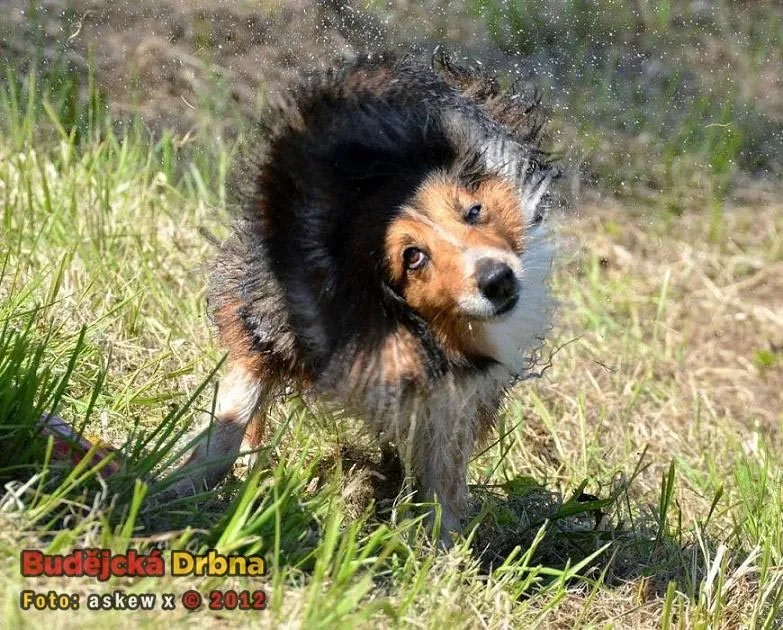 Ilustrační foto