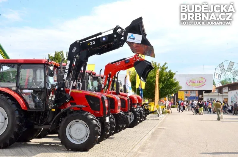 40. Země živitelka 2013