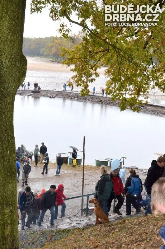 Výlov rybníku Rožmberk