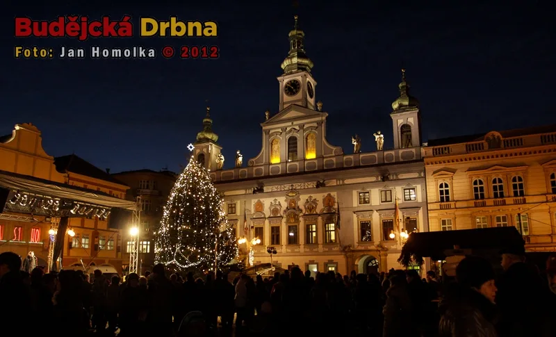 Loňský vánoční strom na náměstí Přemysla Otakara II.