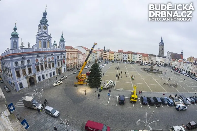 Stavění vánočního stromu na Náměstí Přemysla Otakara II.