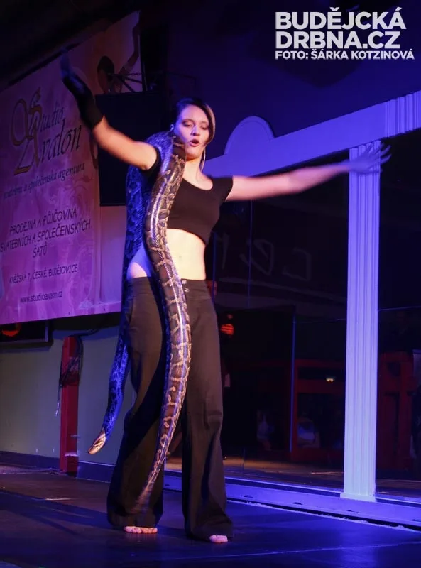 Finálový večer Miss VŠTE 2013