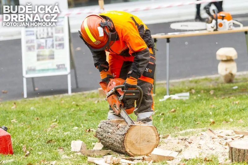 Vzdělání a řemeslo 2013