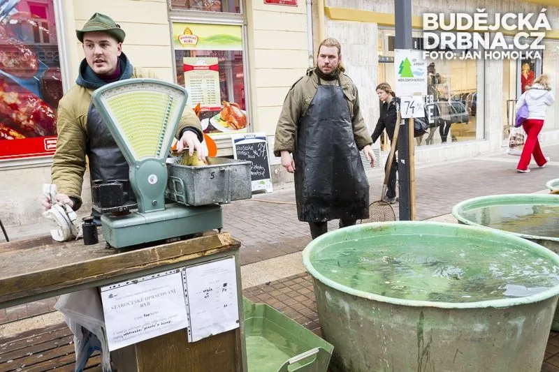 Tradiční prodej kaprů na Lannově třídě