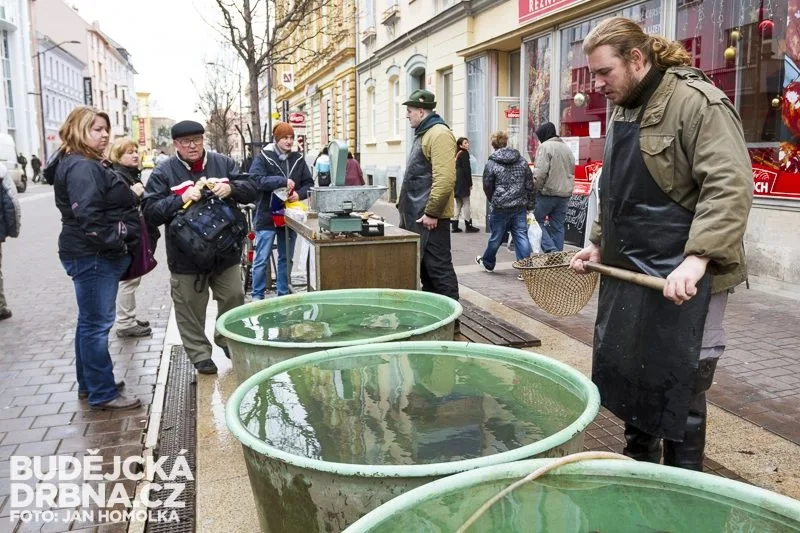 Tradiční prodej kaprů na Lannově třídě