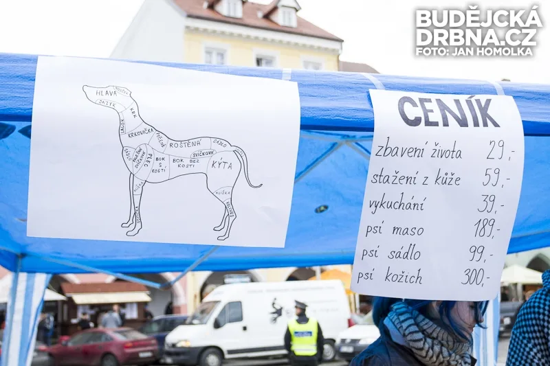 Vegani na náměstí Přemysla Otakara II. předstírali prodej psího masa