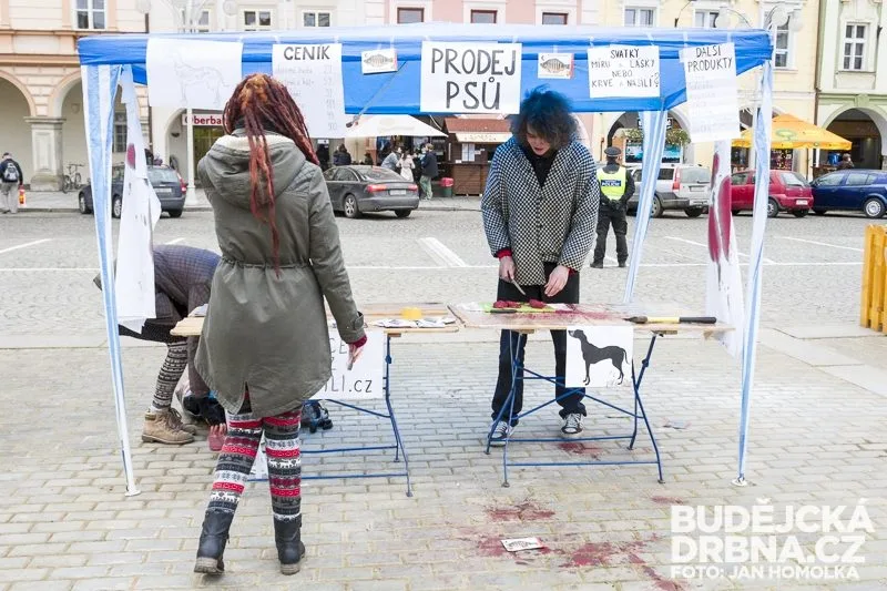Vegani na náměstí Přemysla Otakara II. předstírali prodej psího masa