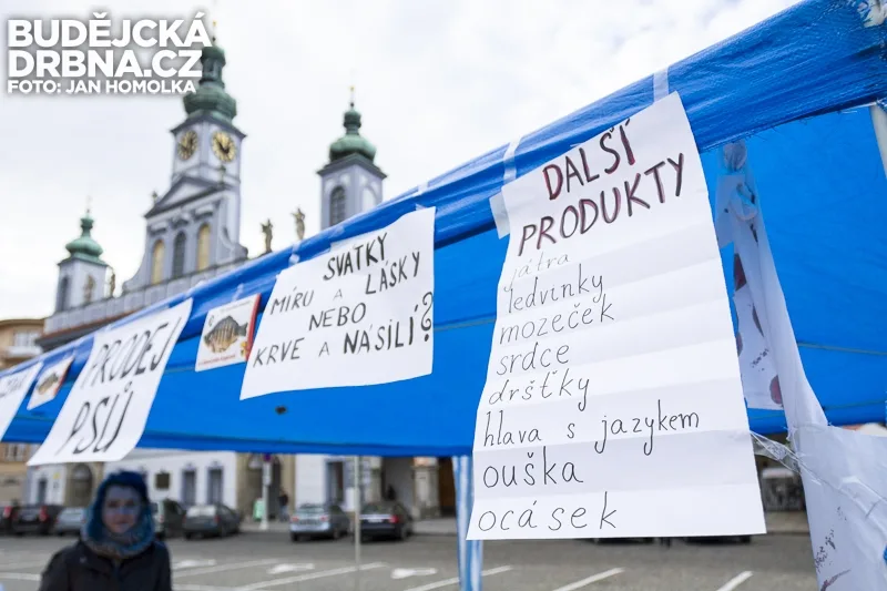 Vegani na náměstí Přemysla Otakara II. předstírali prodej psího masa