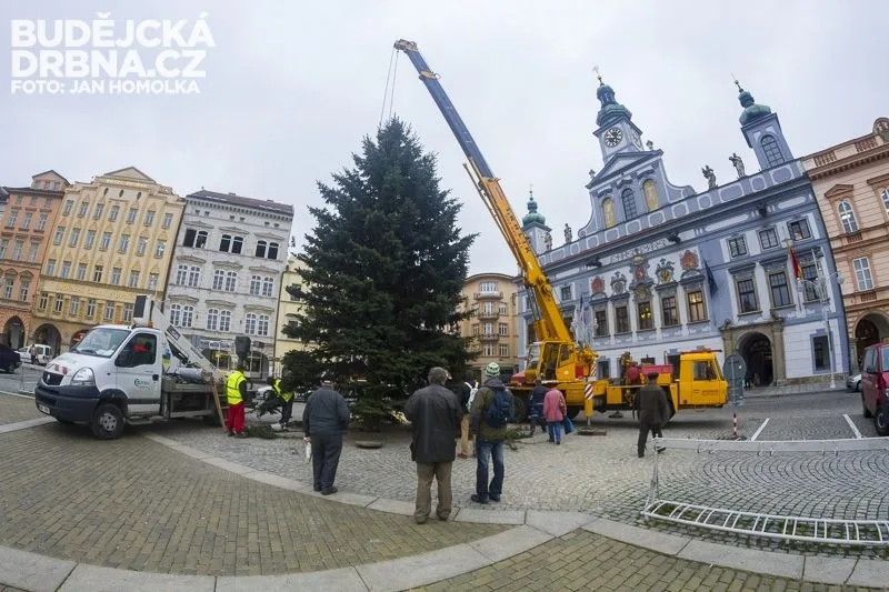 Vánoční strom zmizí z budějckého náměstí Přemysla Otakara II. během úterního odpoledne