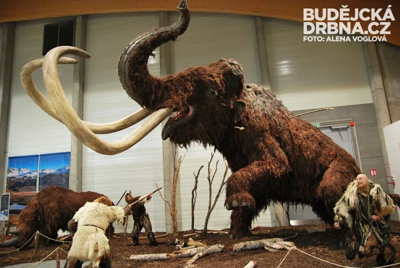 Lov na mamuta