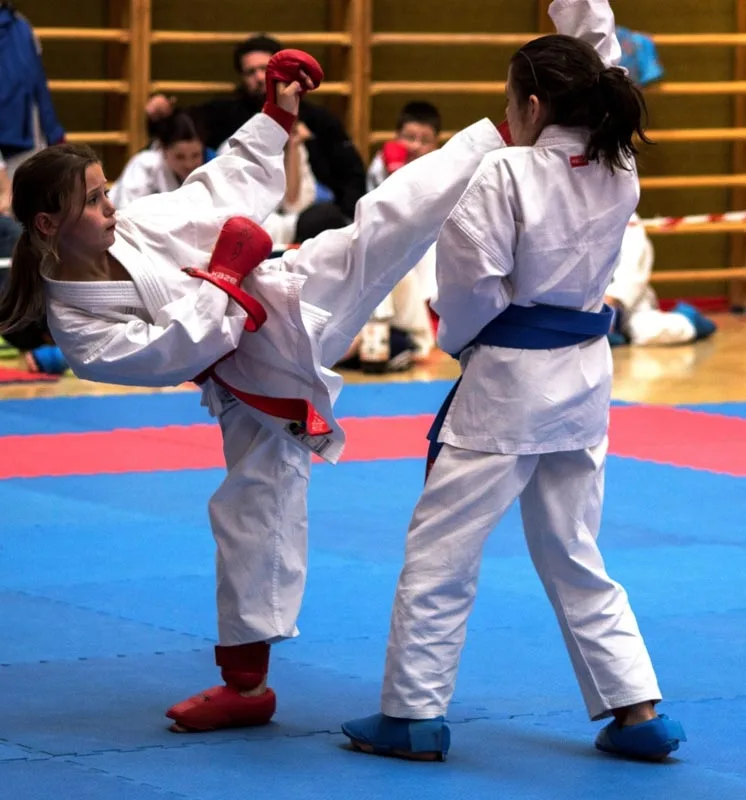 První kolo Krajské ligy pro děti i dospělé v karate v Borovanech