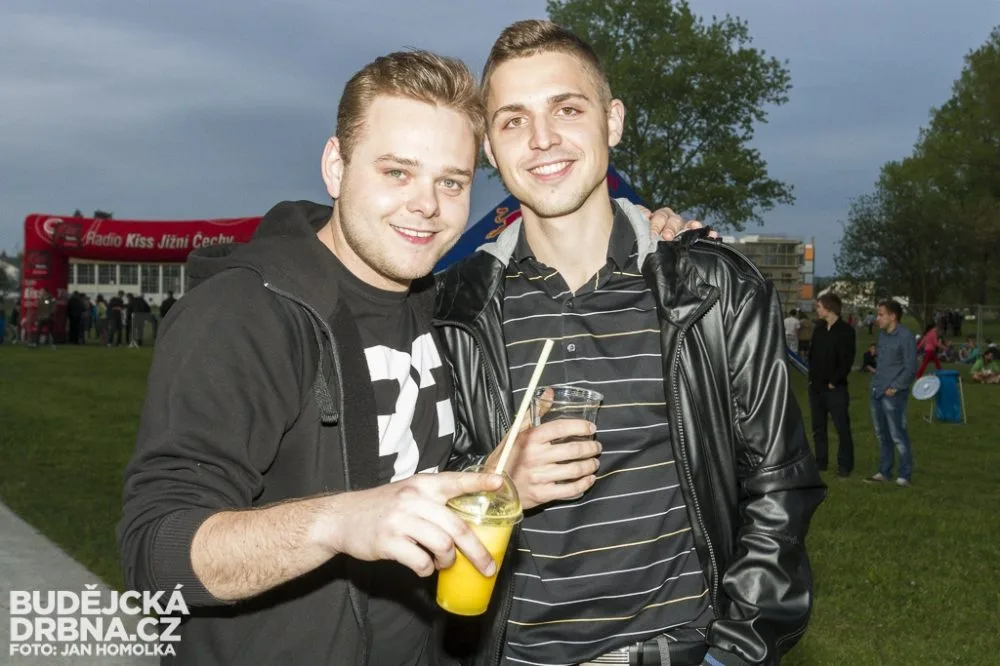 Studentský elektronický festival 2014