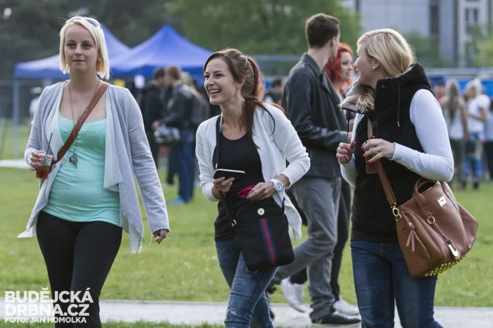 Studentský elektronický festival 2014
