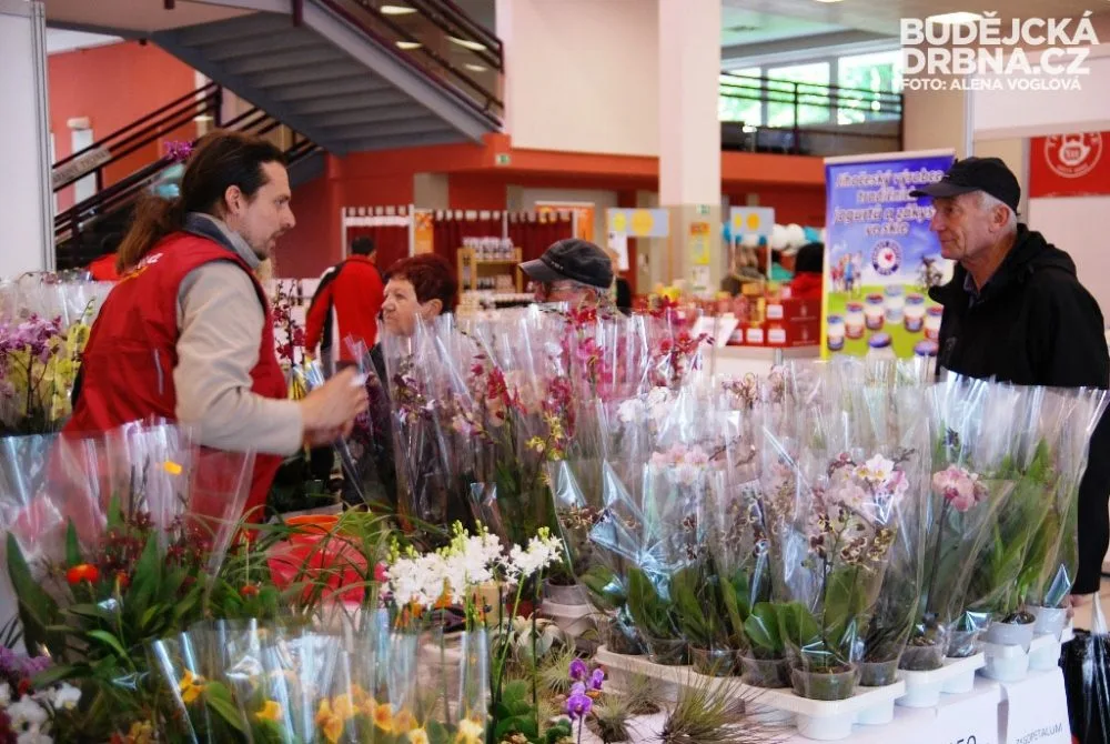 Vybrat si můžete i z různých druhů orchidejí