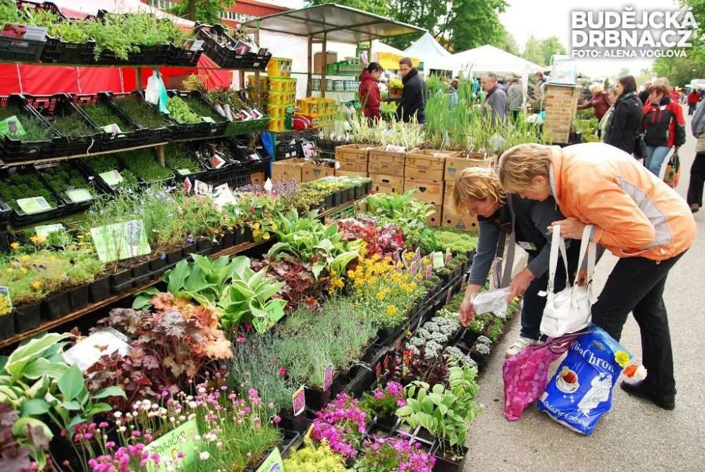 Zahrádkářů je na Hobby tolik, že jste nevěděli, kde se dřív zastavit