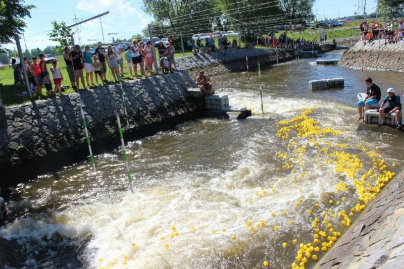 Grand Prix kachničky 2014