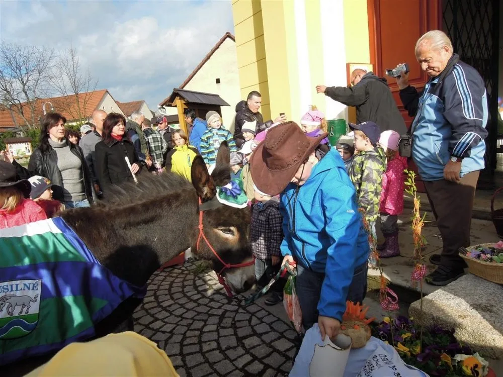 Křest oslíka v Úsilném