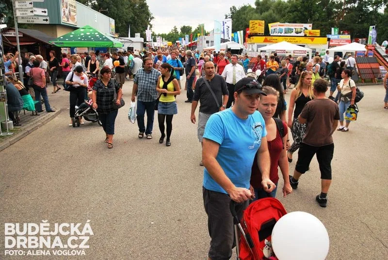 Země živitelka 2013