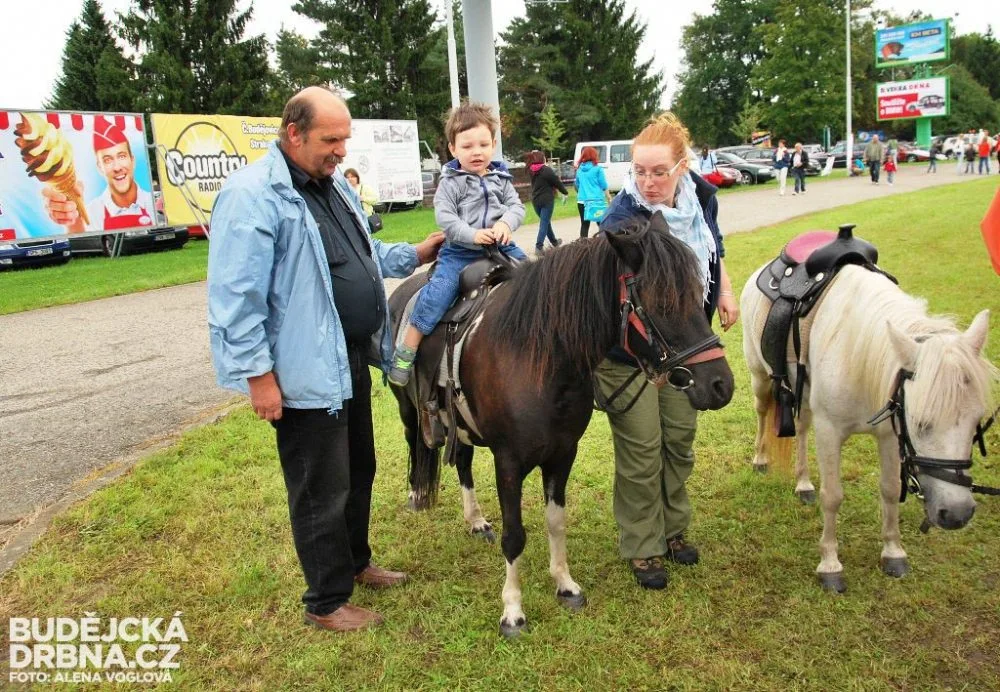 Děti se před Výstavištěm mohly projet na poníkovi