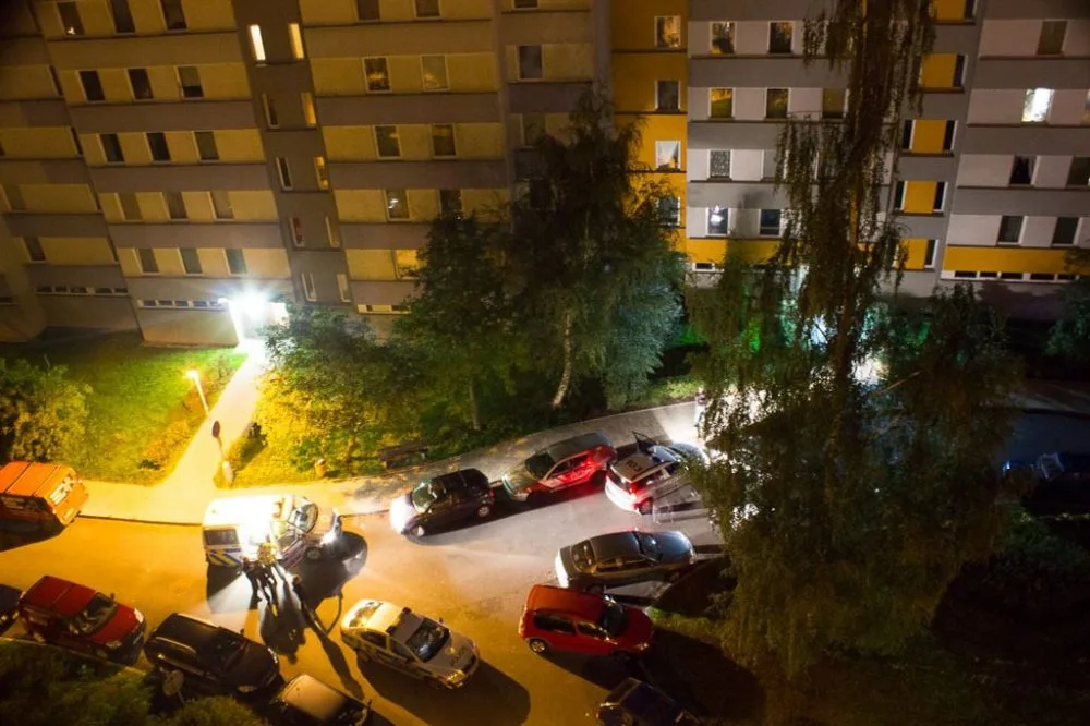 Zadržení mladíka v Netolické ulici