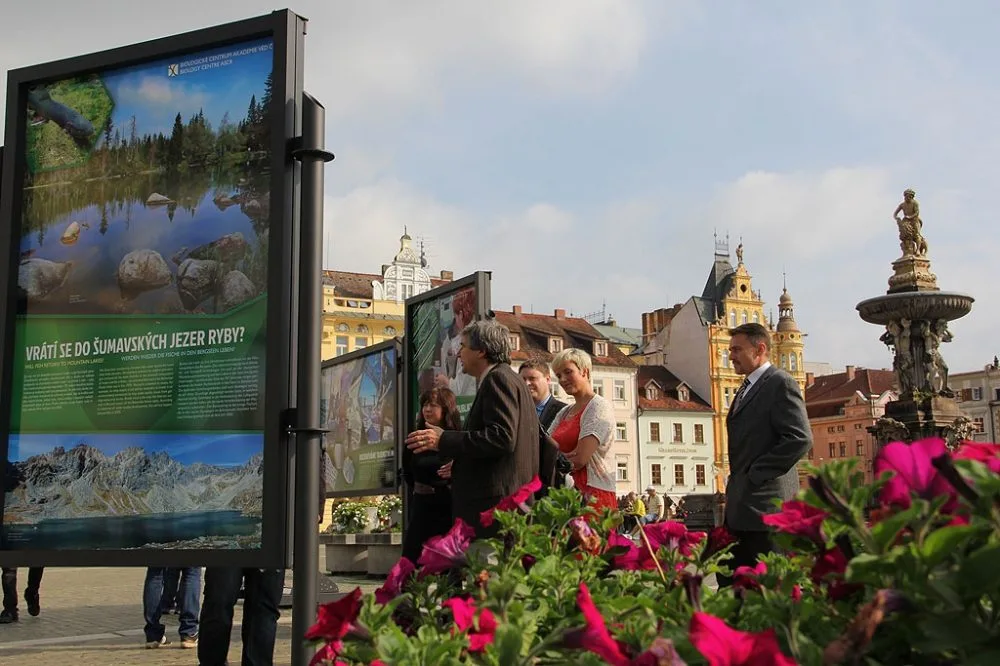 Výstava Biologického centra AV ČR na budějckém náměstí Přemysla Otakara II.