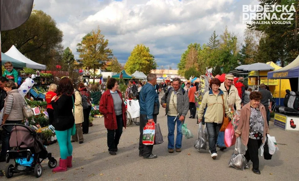 Hobby podzim 2014