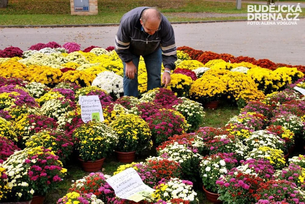 Záplava podzimních barev na Hobby nechybí