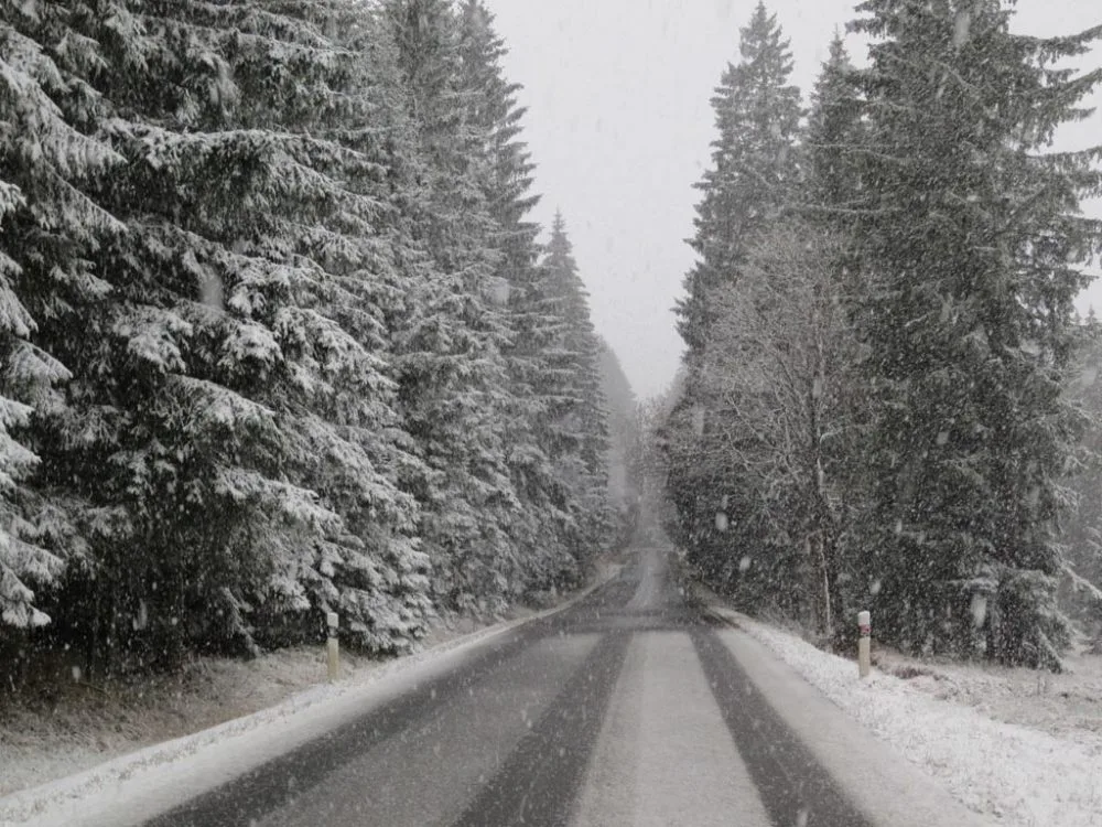 Šumava ve středu po obědě