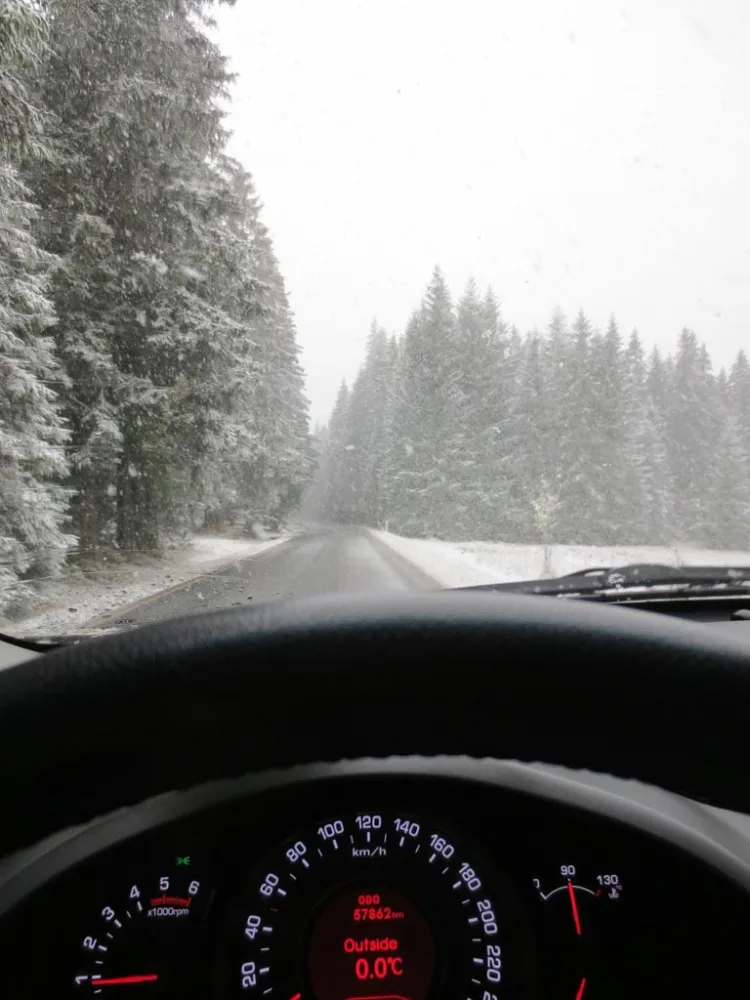 Šumava ve středu po obědě