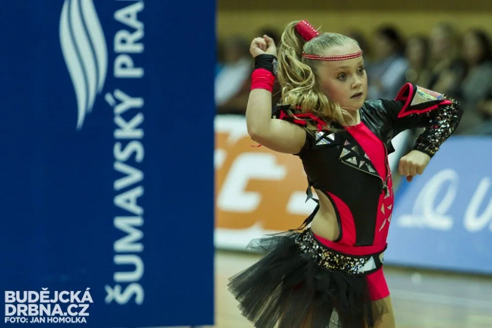 VK Jihostroj České Budějovice - Euro Sitex Příbram 3:0