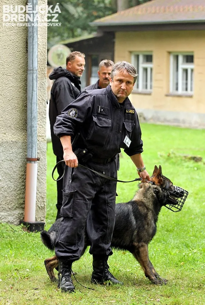 Krajský přebor policejních kynologů v Lišově