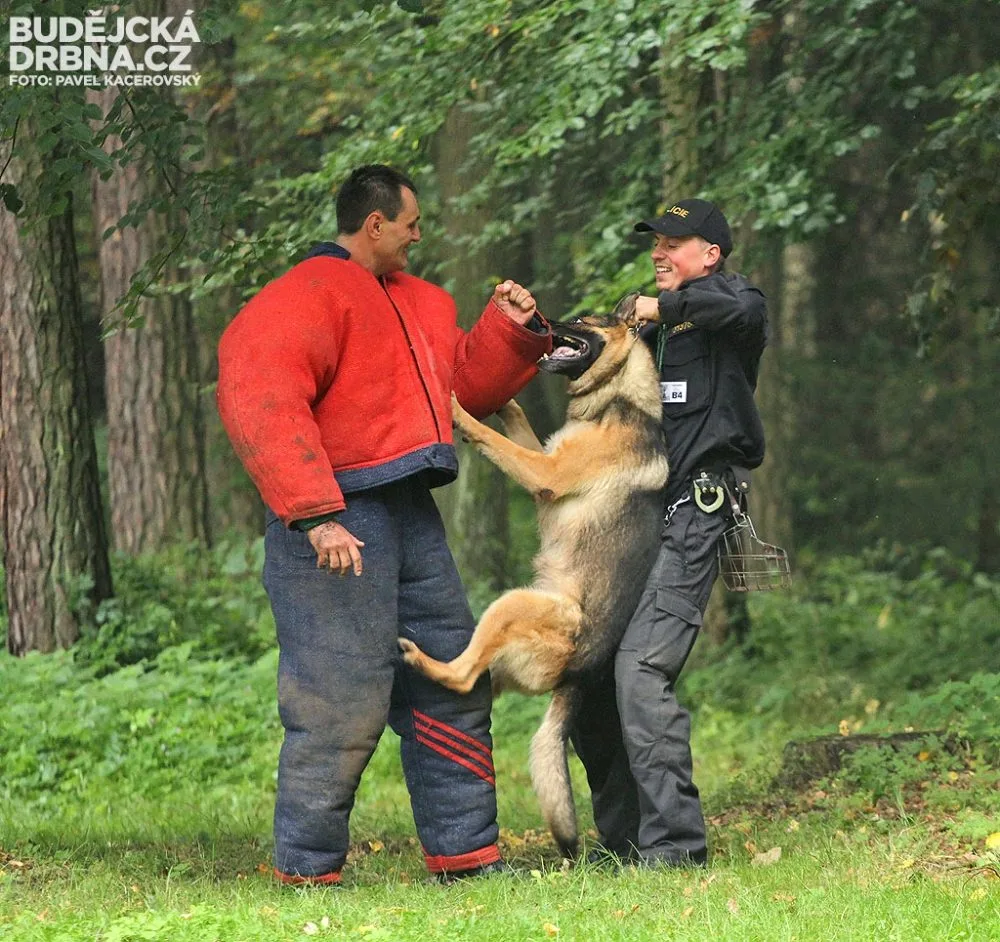 Krajský přebor policejních kynologů v Lišově