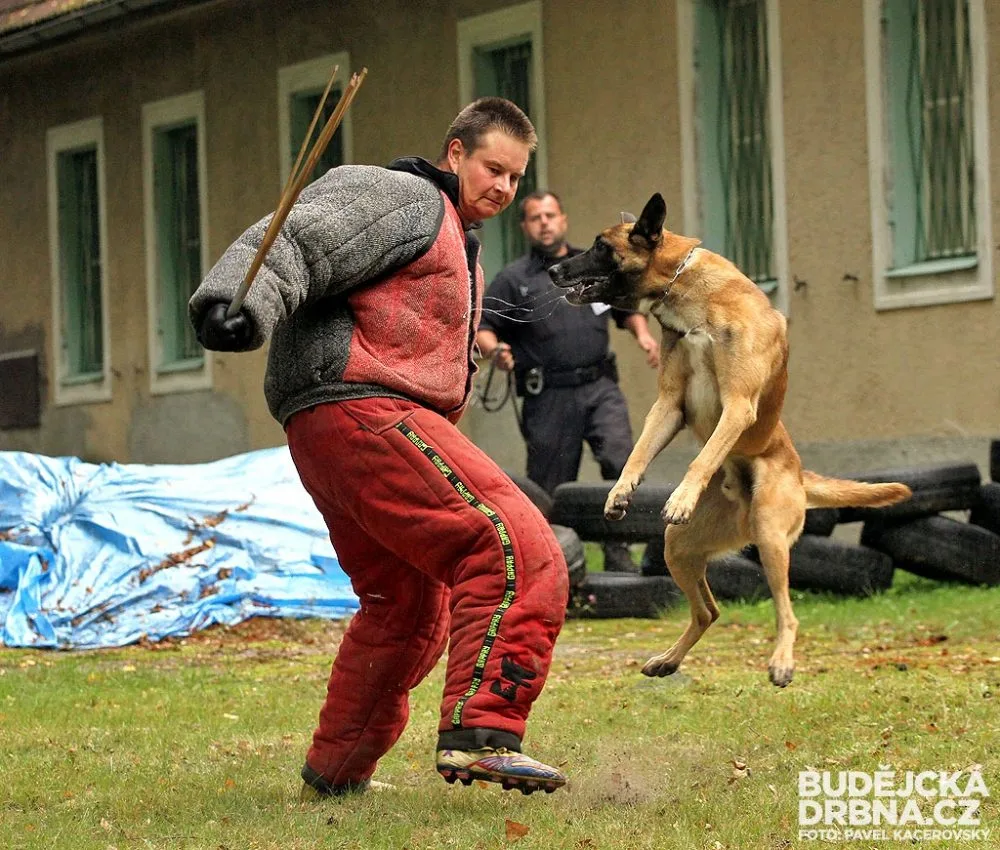 Krajský přebor policejních kynologů v Lišově