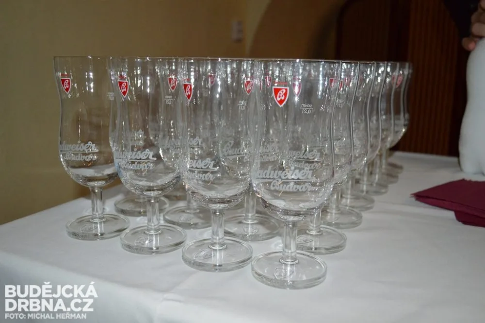 Budweiser Budvar B:Cryo