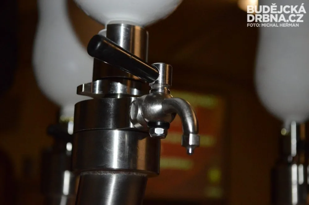 Budweiser Budvar B:Cryo
