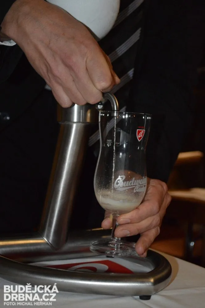 Budweiser Budvar B:Cryo