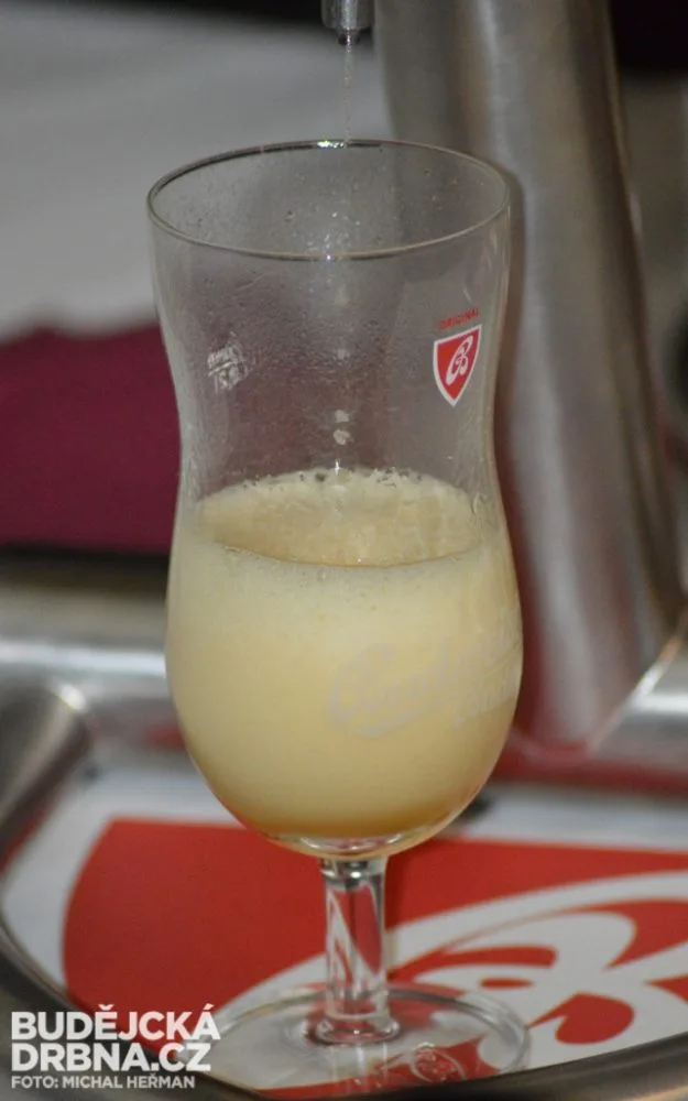 Budweiser Budvar B:Cryo