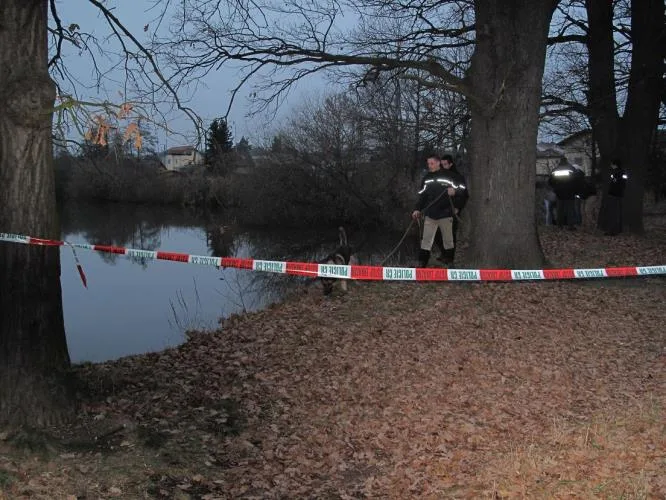 Policejní pes prohledává místo nálezu mrtvé ženy