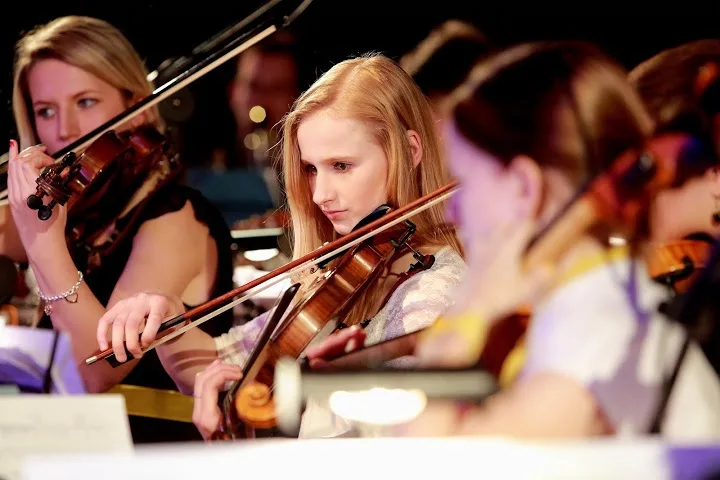 Jihočeský univerzitní orchestr