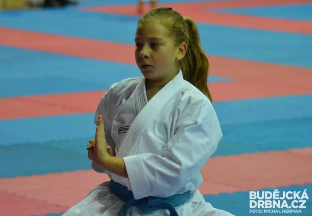 Mistrovství České republiky mládeže v karate v Českých Budějovicích