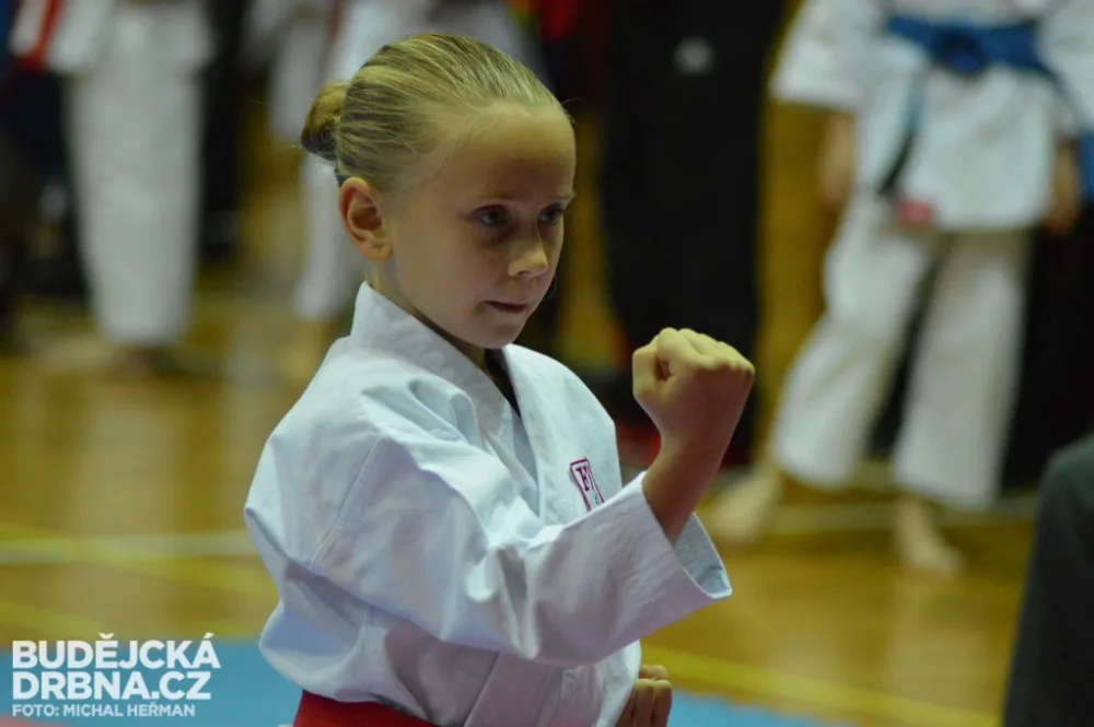 Mistrovství České republiky mládeže v karate v Českých Budějovicích