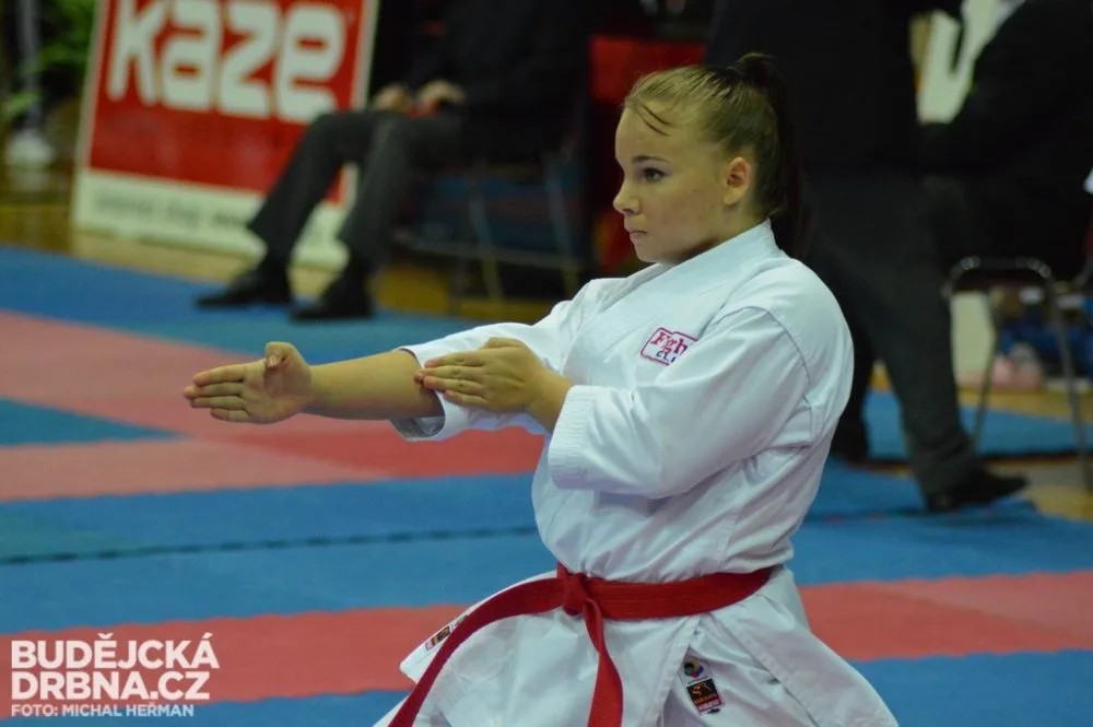 Mistrovství České republiky mládeže v karate v Českých Budějovicích