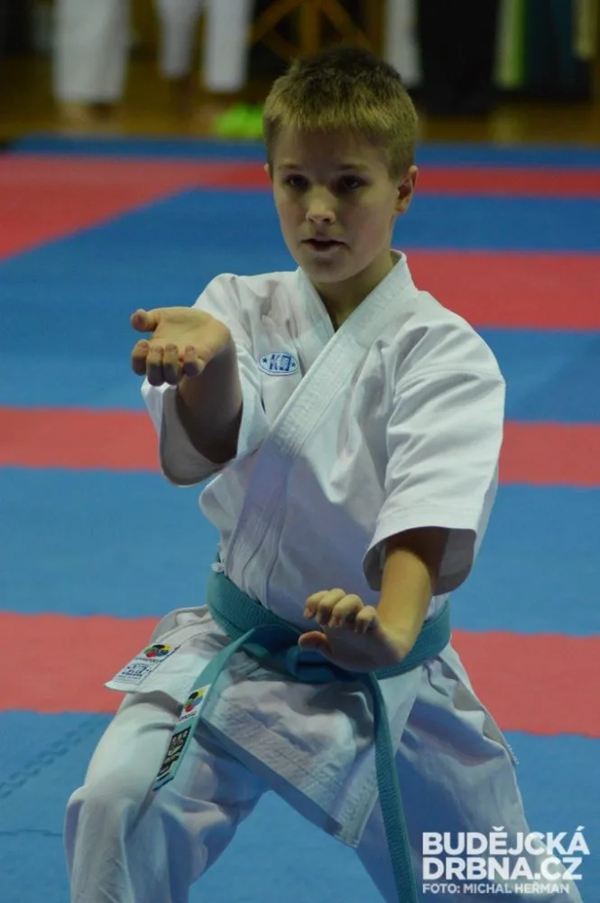 Mistrovství České republiky mládeže v karate v Českých Budějovicích